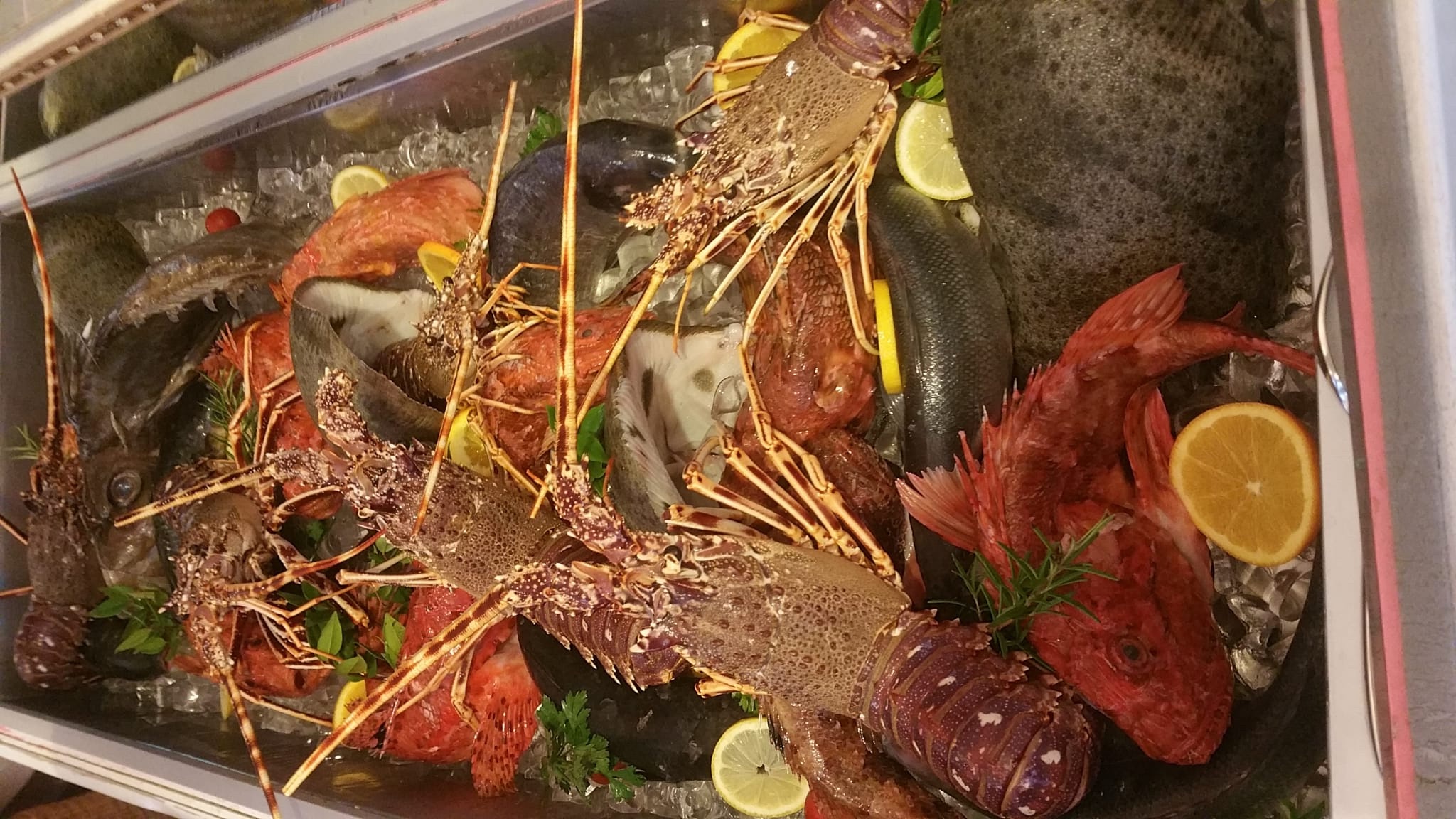 The fish counter