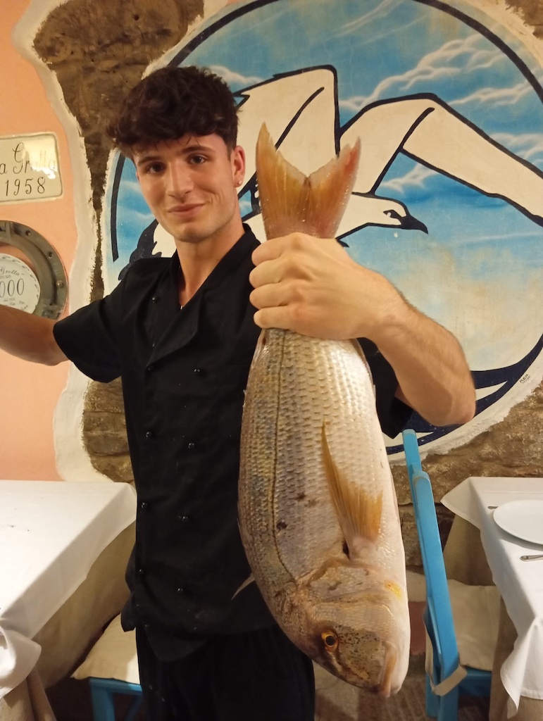Mirko, fourth generation in action