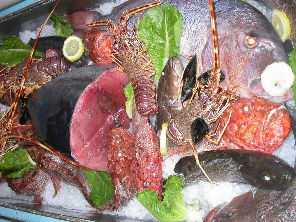 The day's catch