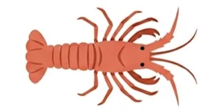 Langouste
