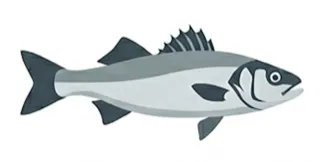 Loup de mer